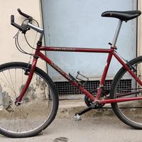 Bici Mountain bike