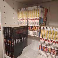 MG raiser manga 