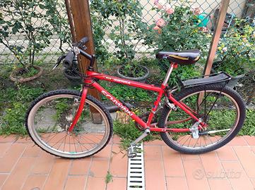 MTB bici Schwinn ragazzo