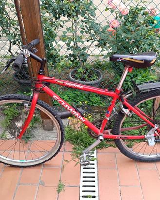 MTB bici Schwinn ragazzo