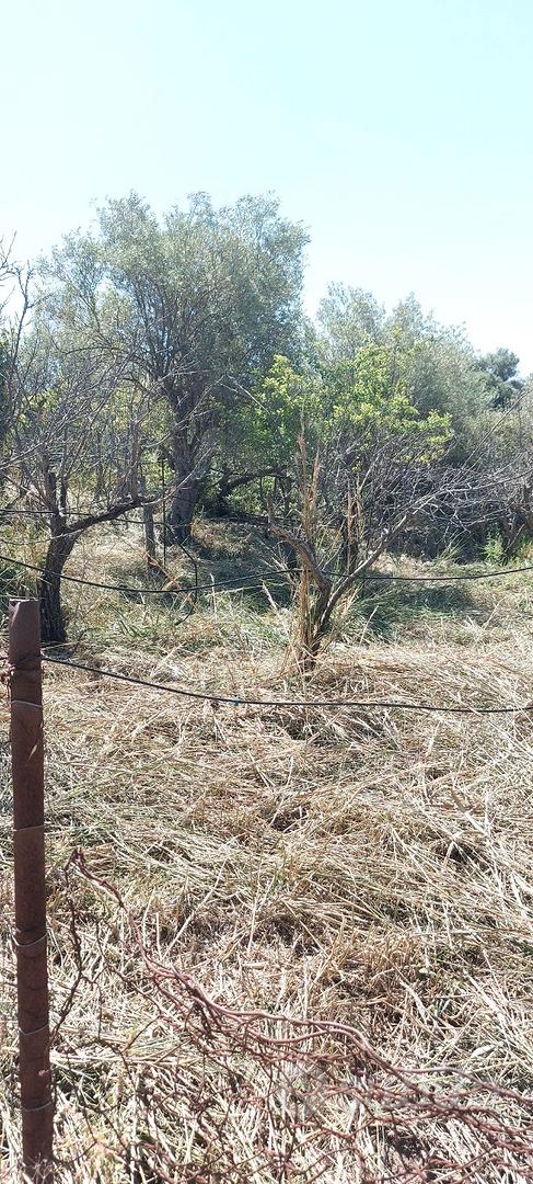 Terreno in Contrada Giardinaccio - Vista 4