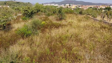 Terreno edificabile nel cuore di Budoni