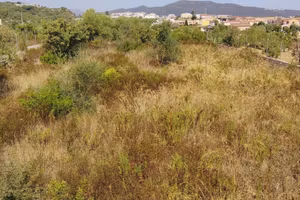Terreno edificabile nel cuore di Budoni