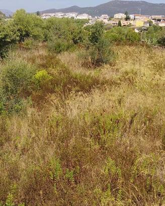 Terreno edificabile nel cuore di Budoni