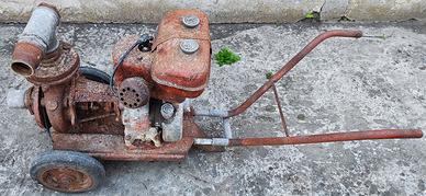 MOTOPOMPA 6 CAVALLI MOTORE 4 TEMPI NUOVA BETA