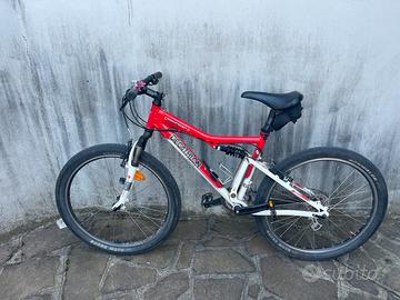 Bicicletta