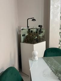 Acquario completo marino 53x43x40
