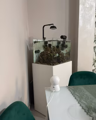 Acquario completo marino 53x43x40