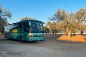 Setra  315 hd
