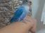 Immagine 1
