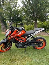 Duke 390