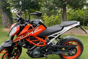 Duke 390