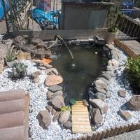 filtro clear uvc oase