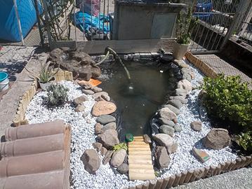 filtro clear uvc oase