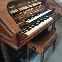 organo elettrico