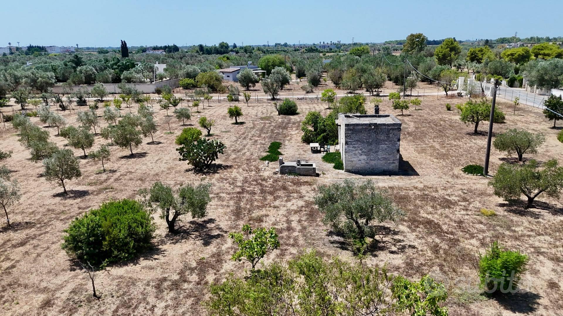 Rustico/Casale/Corte - Novoli - Vista 5