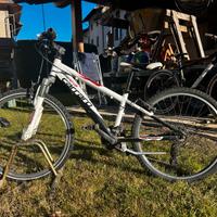 bicicletta carraro spider