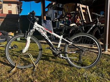 bicicletta carraro spider