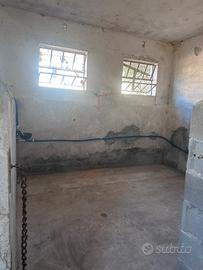 Disponibile box cavalli