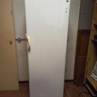 freezer AEG