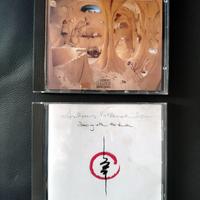 ANDREA VOLLENWEIDER - 2 ALBUM in formato CD