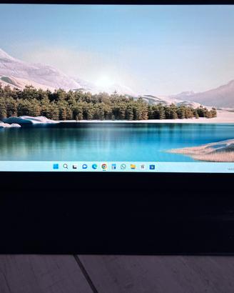 Monitor esterno 15.6 pollici