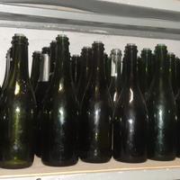Bottiglie per il vino