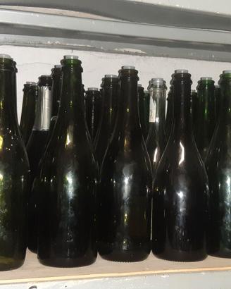 Bottiglie per il vino