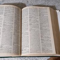 dizionario Francese Italiano il Boch