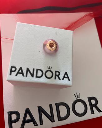 Charm Pandora