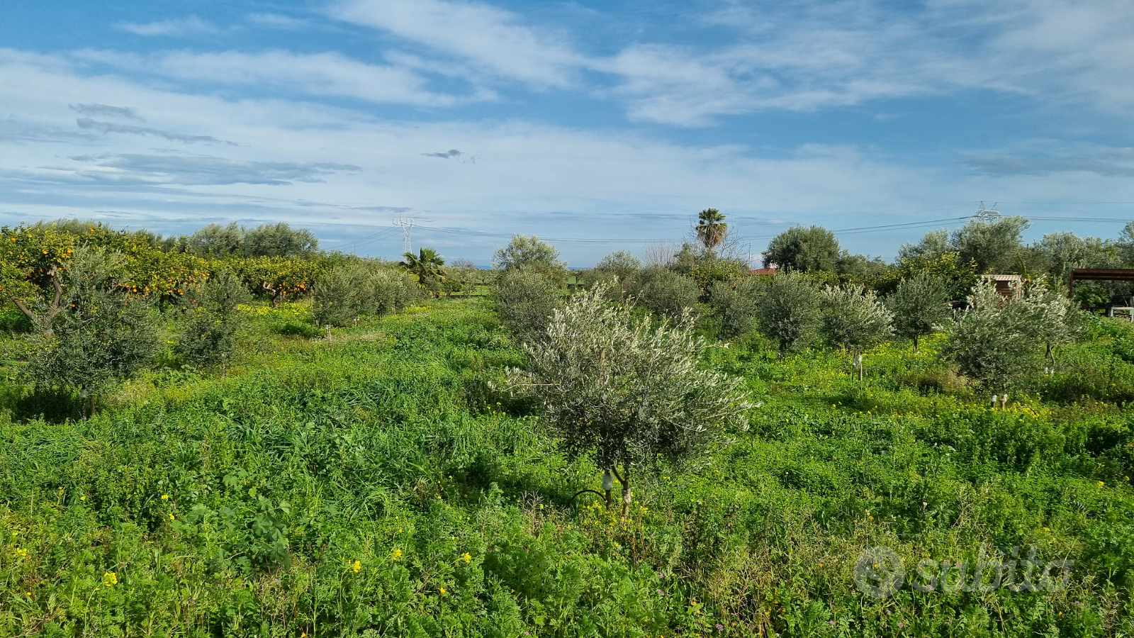 Terreno edificabile - Altro