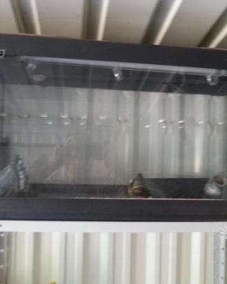 Acquario,gruppo filtrante professionale e accessor