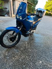 Honda Transalp 650xl ‘RALLY’