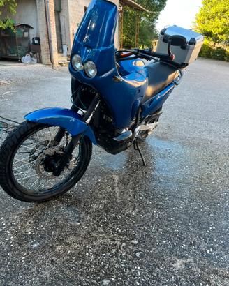 Honda Transalp 650xl ‘RALLY’