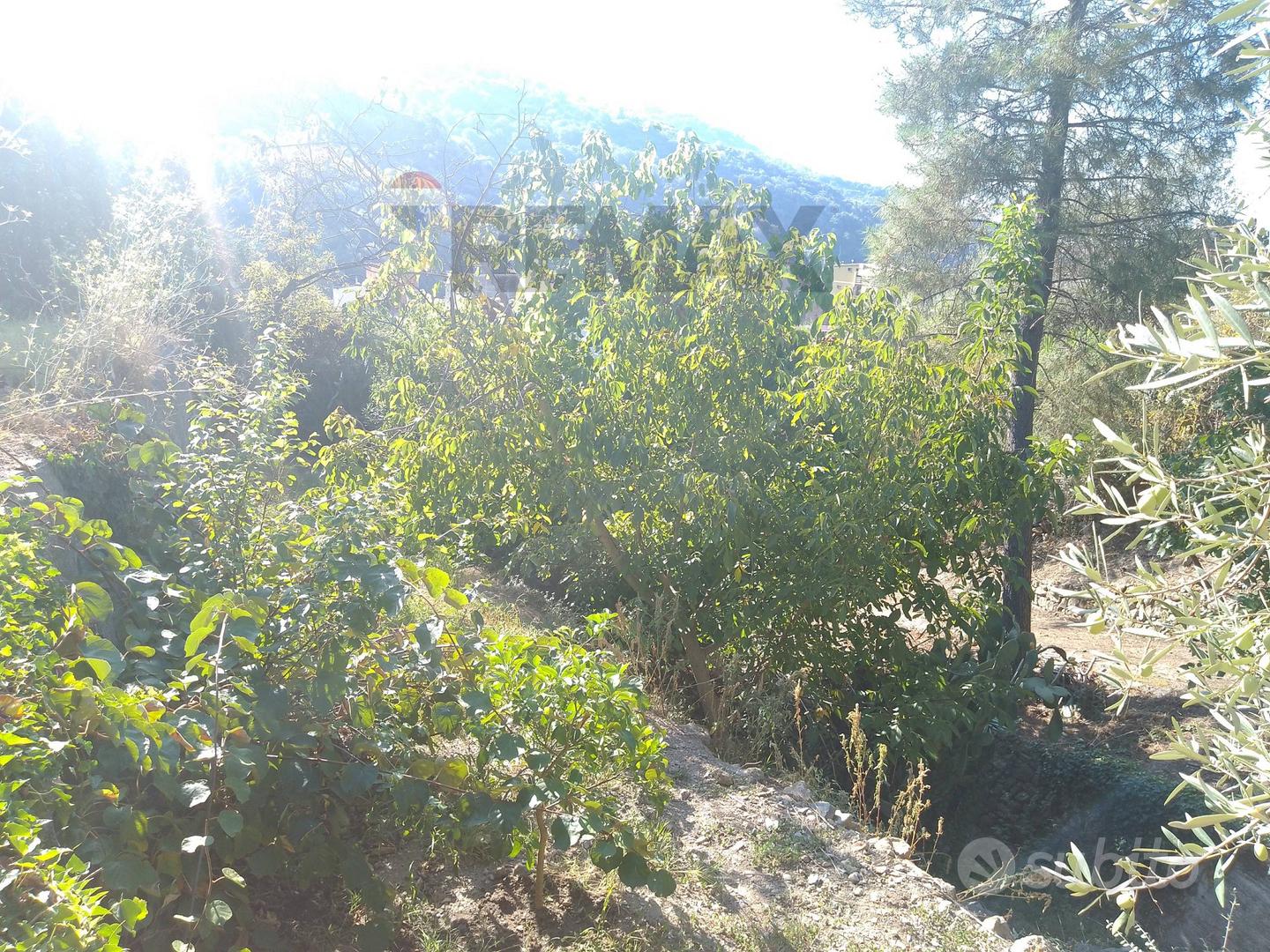 Terreno - Graniti - Vista 3