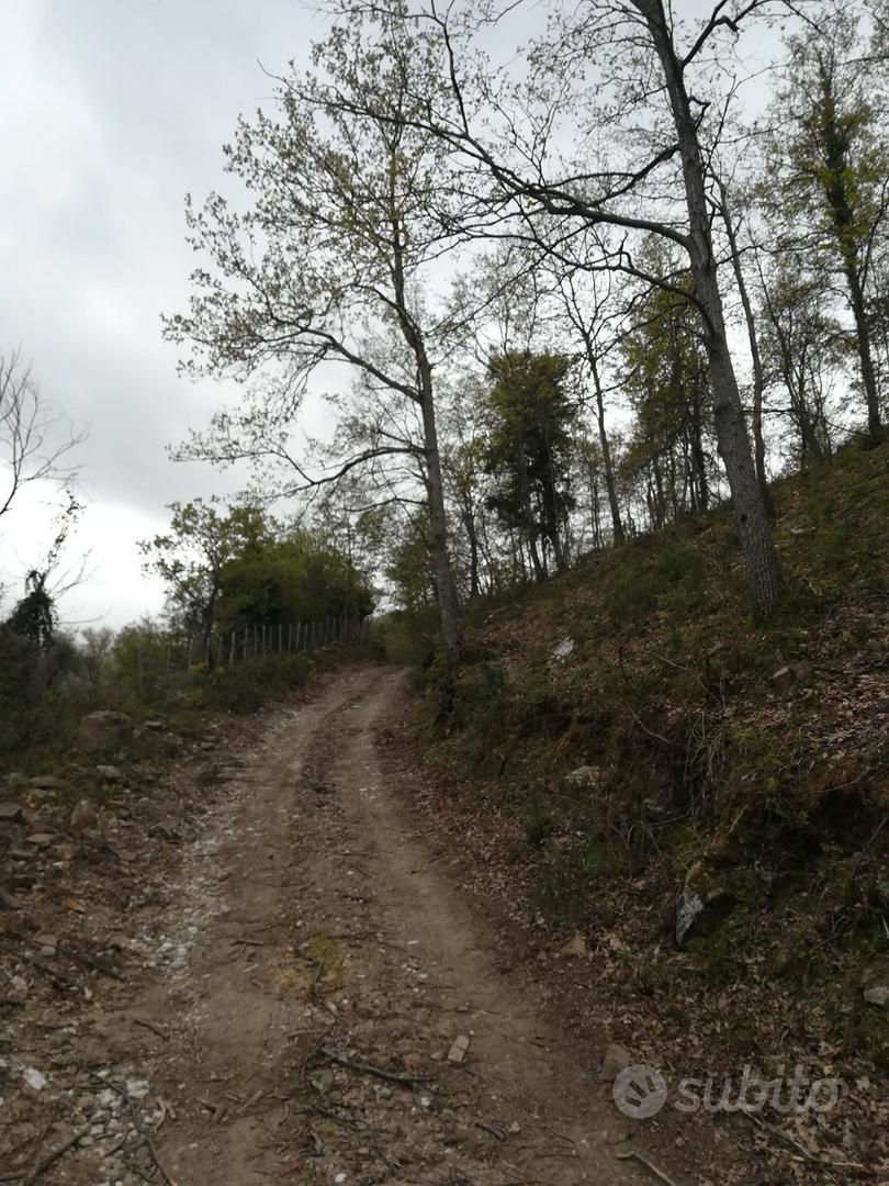 Terreno e fabbricati anche per Case Vacanza - Altro