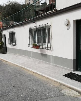 Celle ligure 