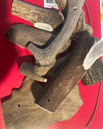 Gioco da mordere per cani