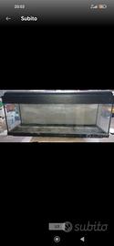 acquario 100 litri 