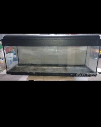 acquario 100 litri 