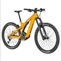 Scott patron eride 920 XL