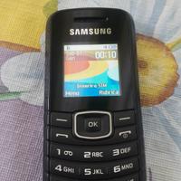 cellulare Samsung 