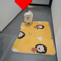 Maltesi cuccioli Pedegree Enci