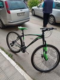 bicicletta 