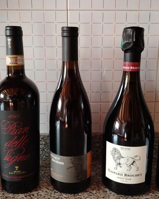 Champagne Gaspard brochet. Bottiglie miste