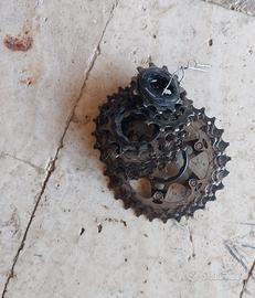 pacco pignoni ultegra 11v 