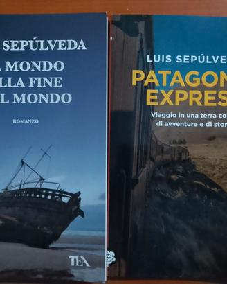 Patagonia express ecc...