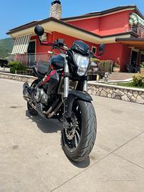 Benelli bn302