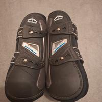 stinchiere veredus olympus