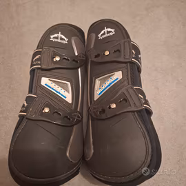 stinchiere veredus olympus